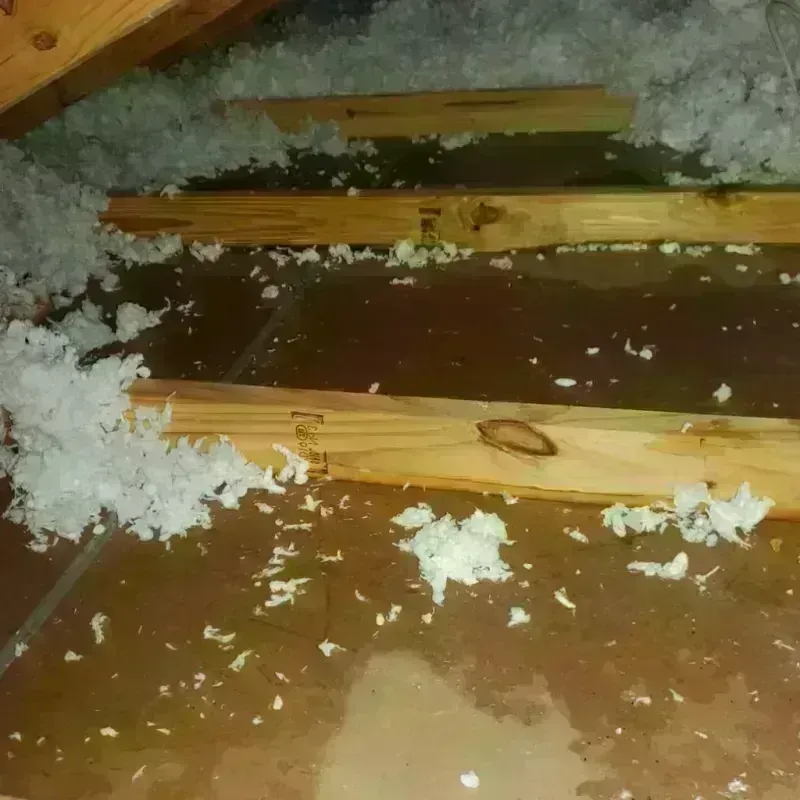 Attic Water Damage in Spring City, TN